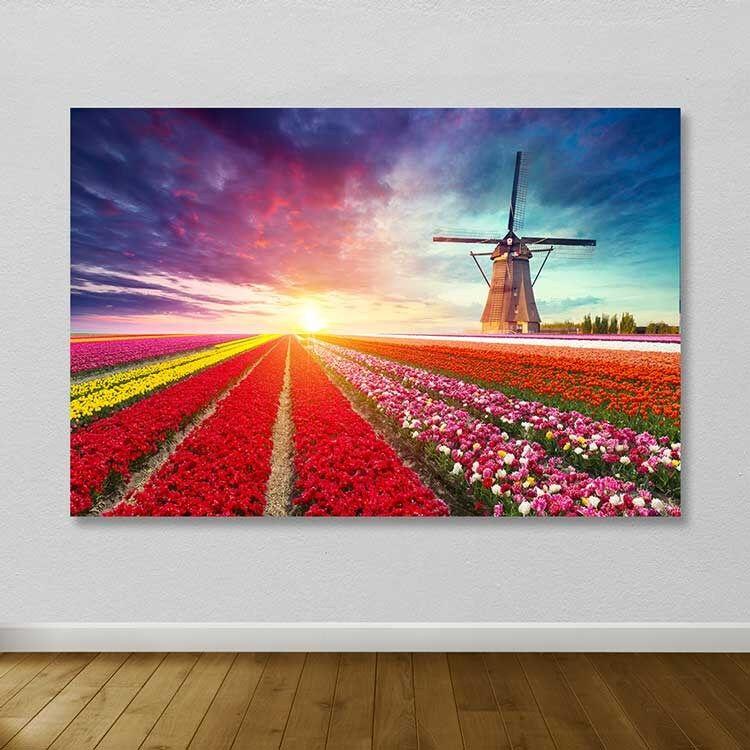 Wallity Image DEV02653100140, 100x140 см