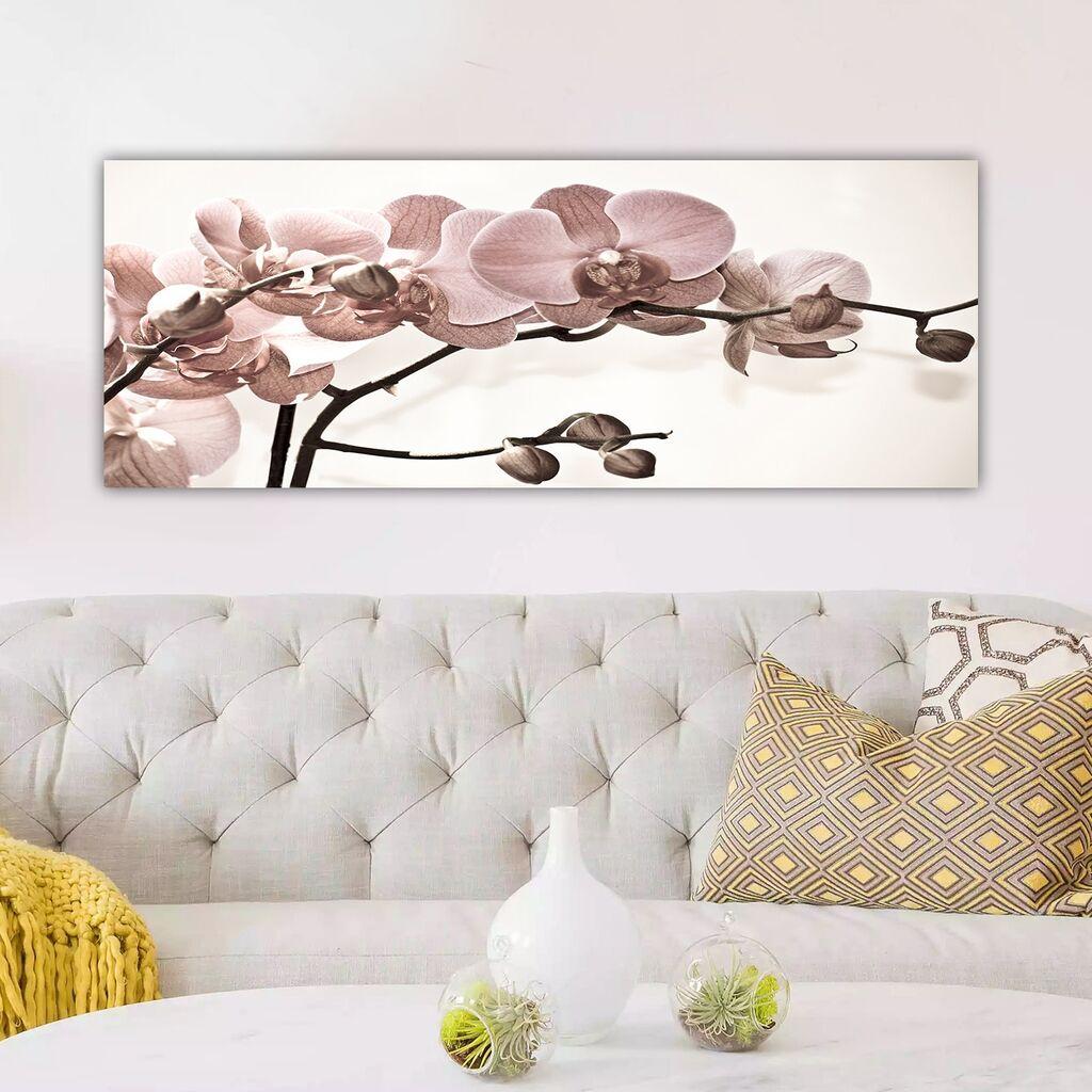 Wallity Image YTY400029_3080, 30x80 см