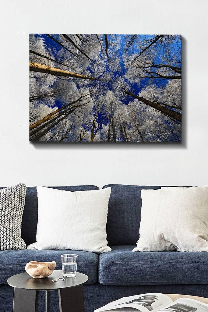 Wallity Сет Слики MDF1789665, 3 Дела