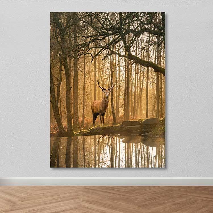 Wallity Слика KNV10260, 50x70 cm