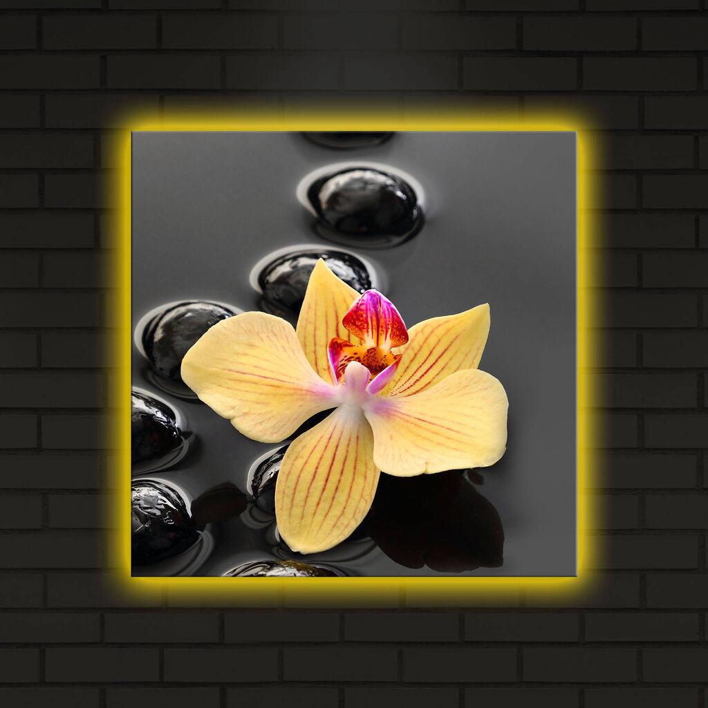 Wallity Слика 529TCR2171, 50x70 cm