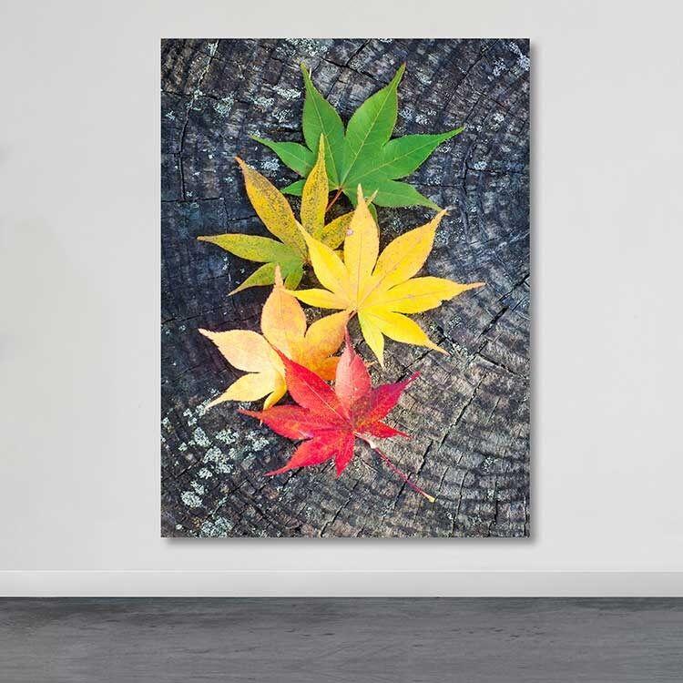 Wallity Слика DEV03450100140, 100x140 cm