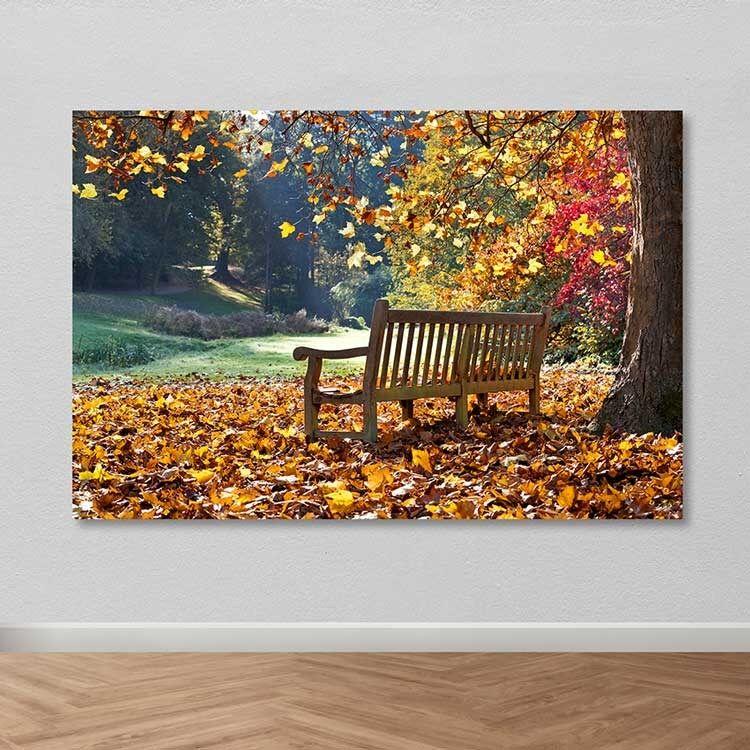 Wallity Сет Слики MDF295429769, 3 Дела