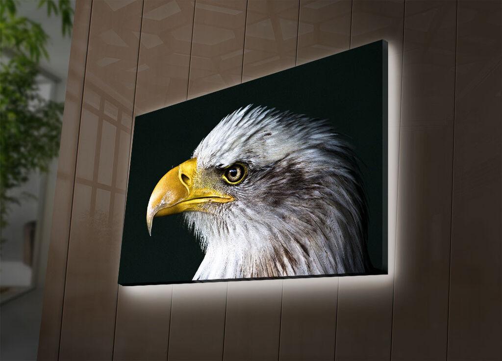 Wallity Слика 221JRS1492, 60x90 cm