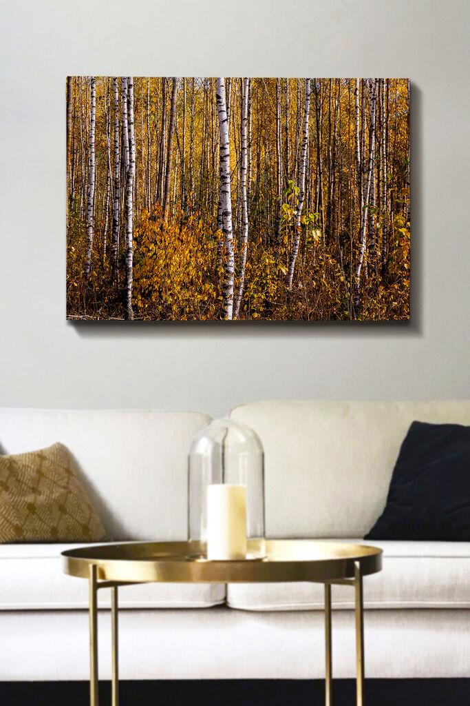 Wallity Сет Слики MDF1807743, 3 Дела