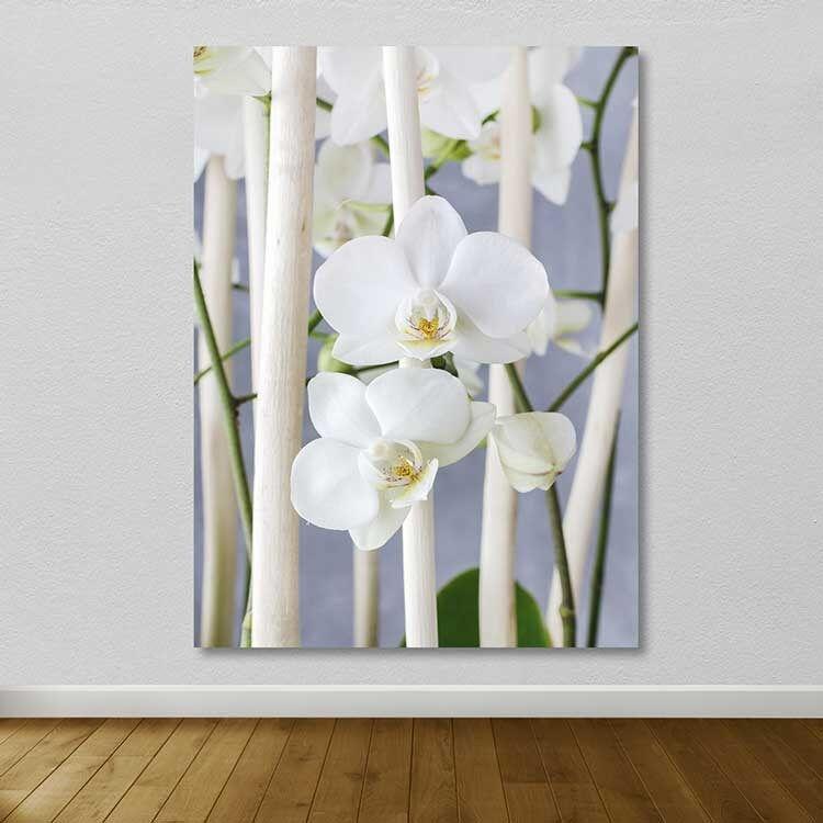 Wallity Слика DKY197569_50120, 50x120 cm