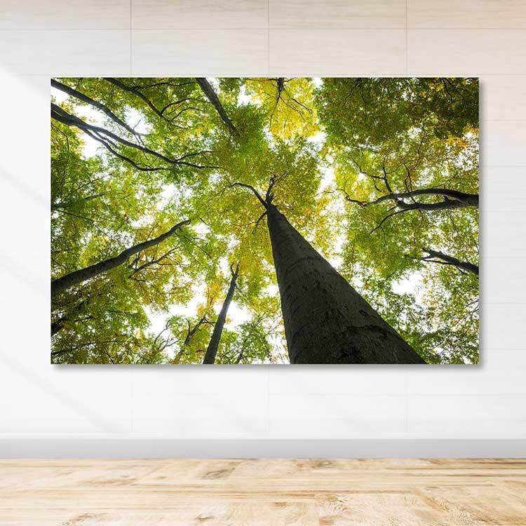 Wallity Сет Слики MDF2921382, 3 Дела