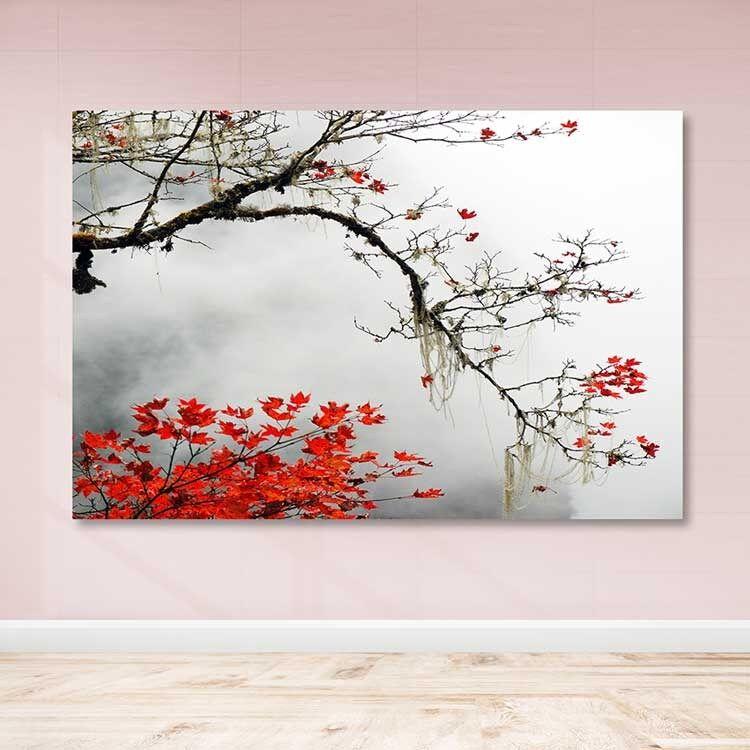 Wallity Сет Слики MDF320915006, 3 Дела