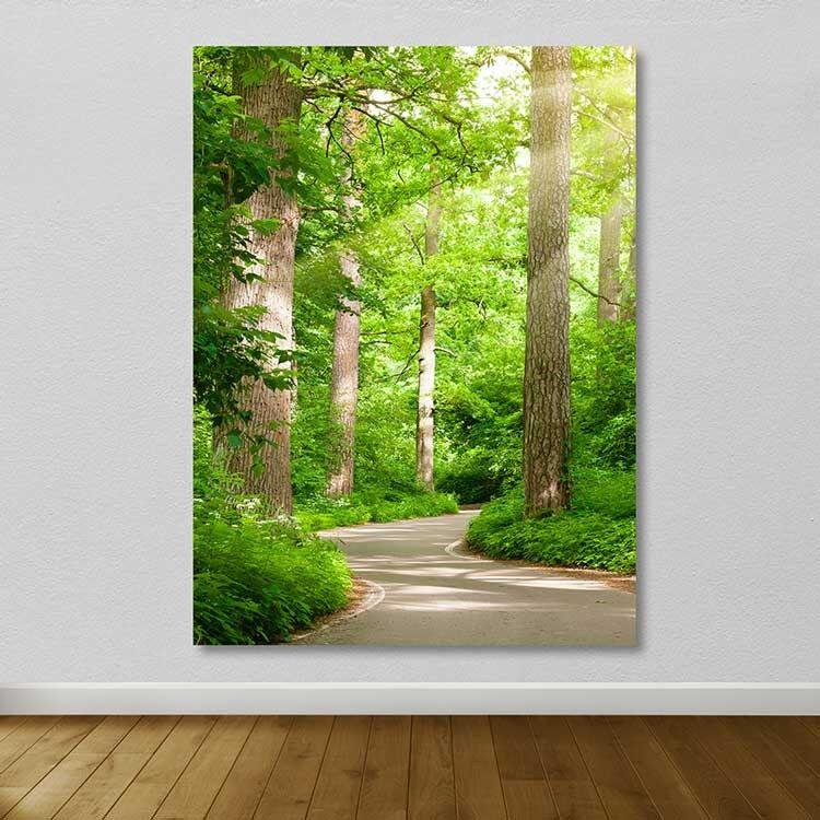 Wallity Сет Слики MDF2996501, 3 Дела