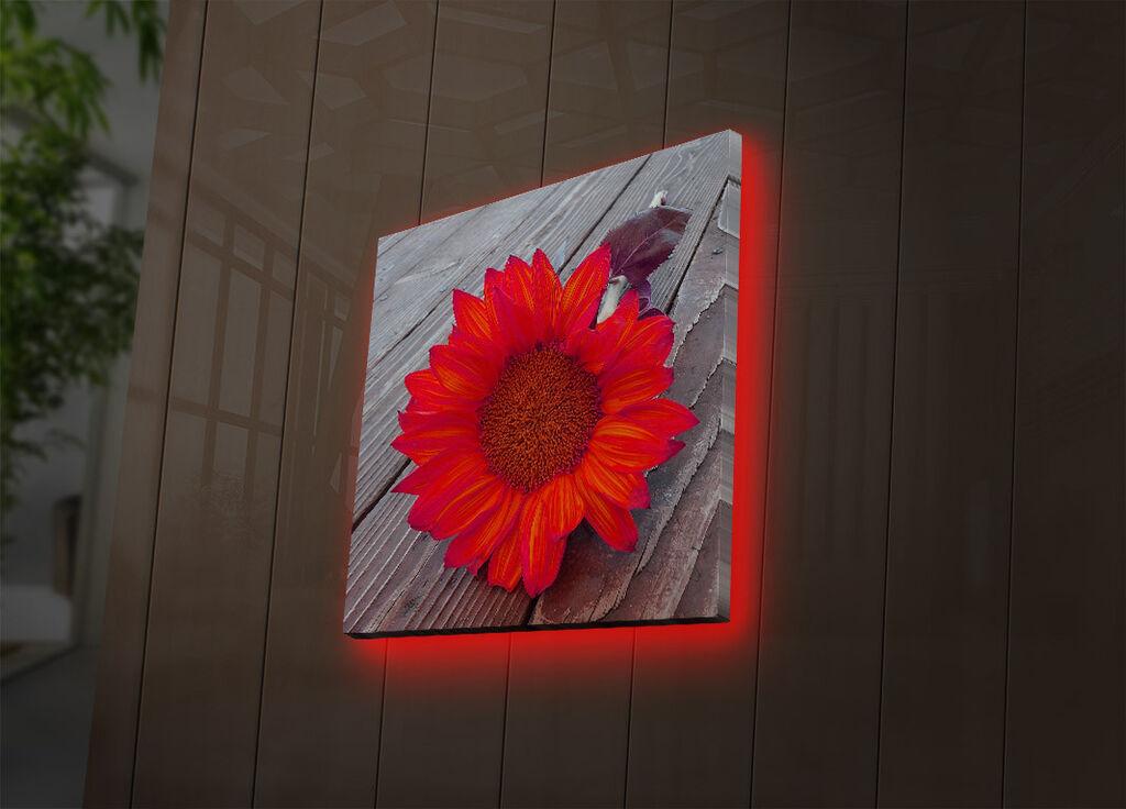 Wallity Слика 529TCR2172, 50x70 cm