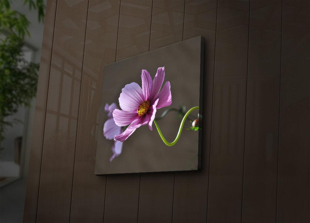 Wallity Слика 221JRS1379, 46x72 cm