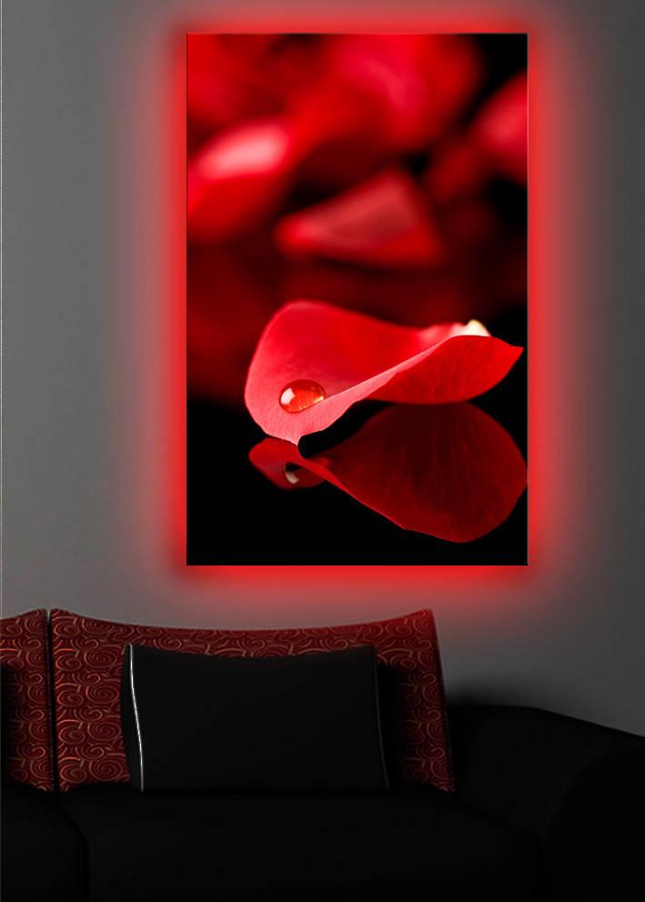 Wallity Слика со LED Осветлување ABD-005, 45x70 cm