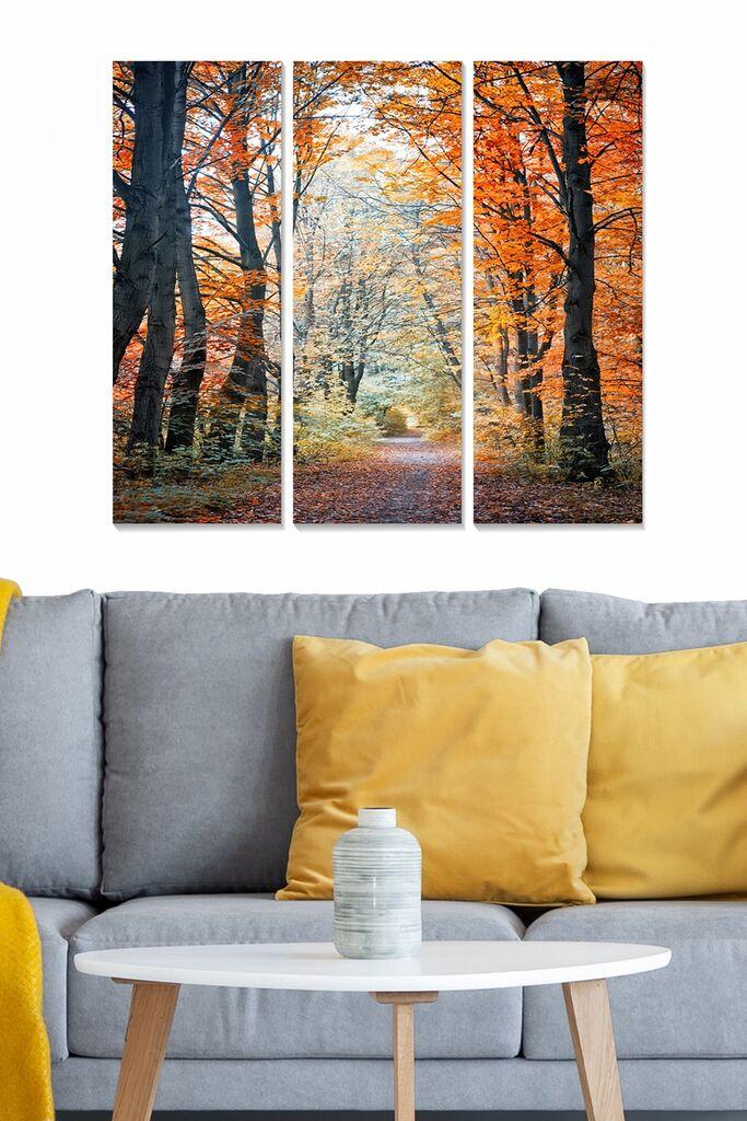 Wallity Сет Слики MDF2737269, 3 Дела