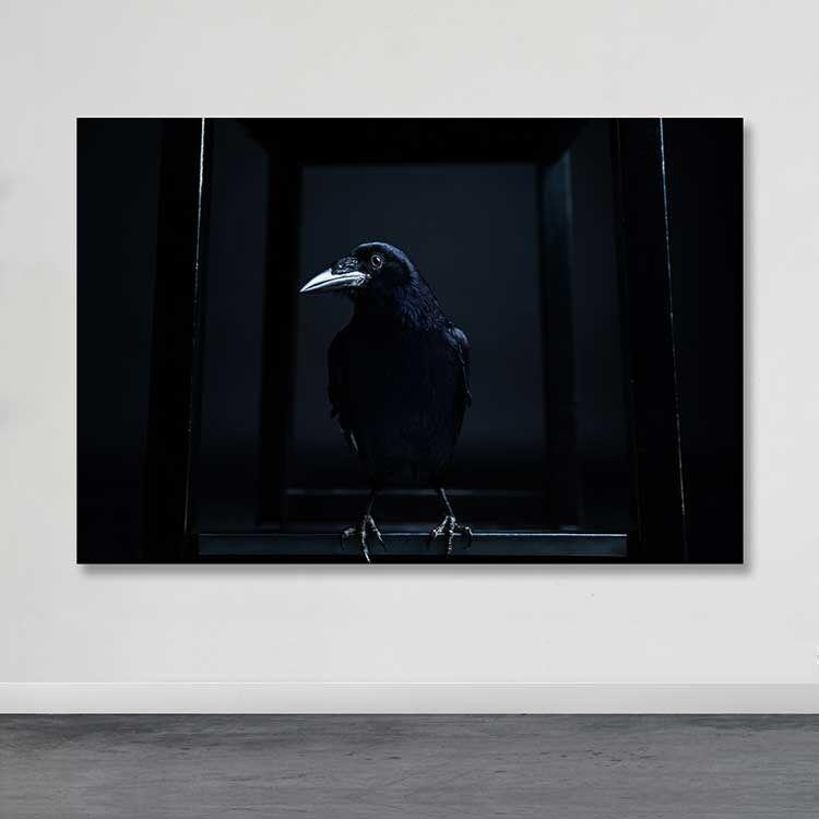 Wallity Слика KNV4506, 50x70 cm