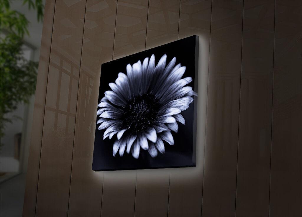 Wallity Слика 221JRS1341, 60x90 cm