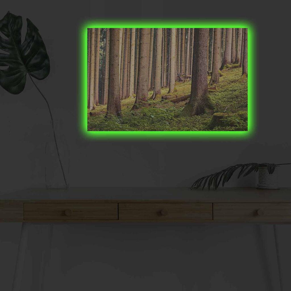 Wallity Слика со LED Осветлување Banksy Free, 44x66 cm