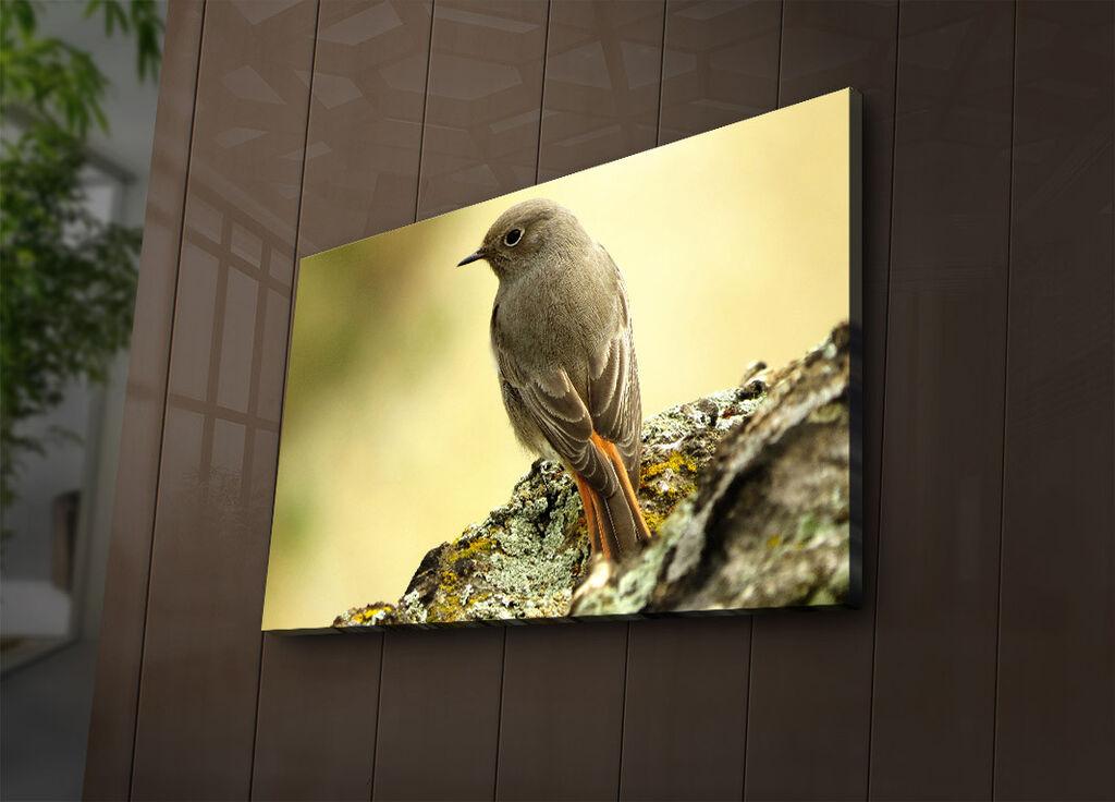 Wallity Слика DEV02233100140, 100x140 cm