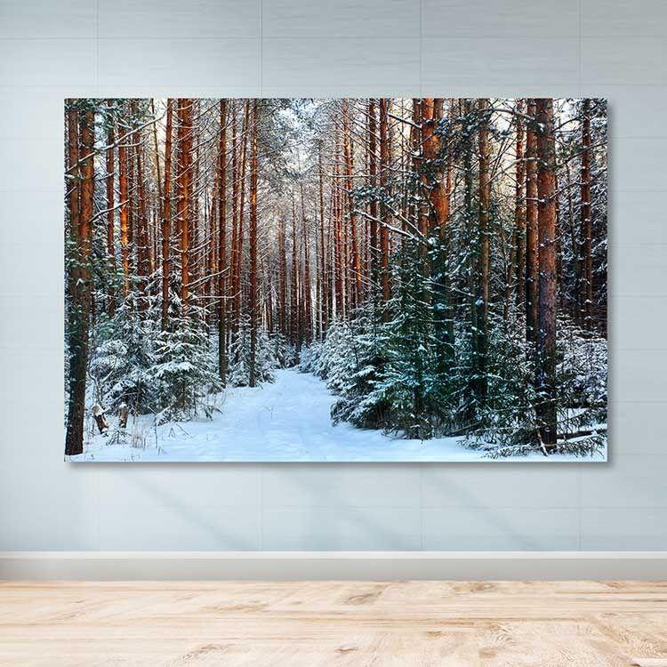 Wallity Слика DEV6700, 100x140 cm