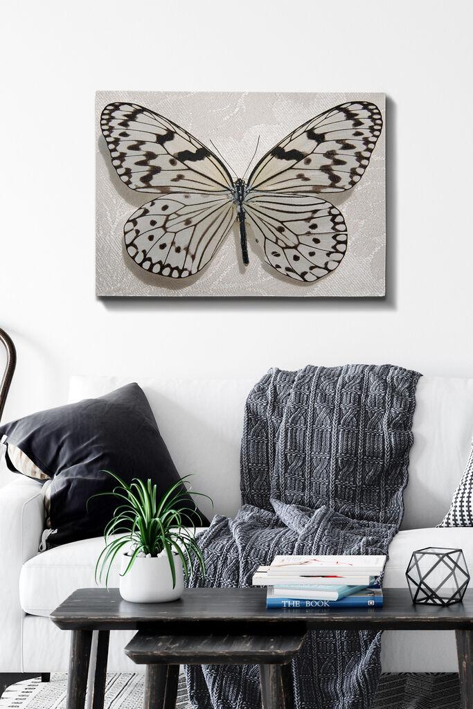 Wallity Сет Слики MDF1241189092, 3 Дела