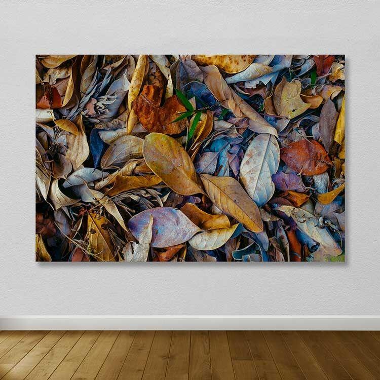 Wallity Слика KNV4504, 50x70 cm