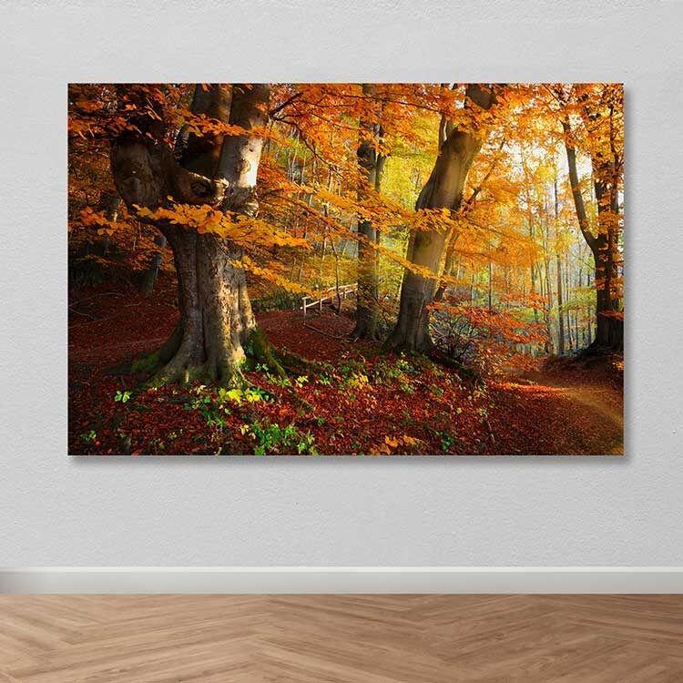 Wallity Слика Kanvas Tablo-80, 50x70 cm