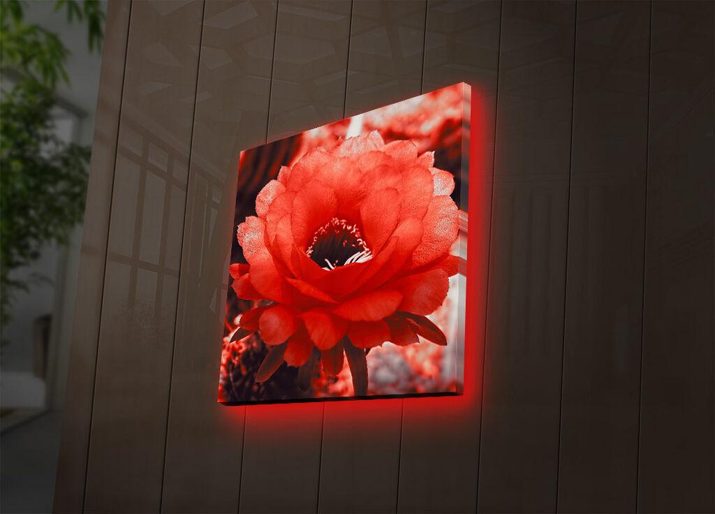 Wallity Слика 529TCR2167, 50x70 cm