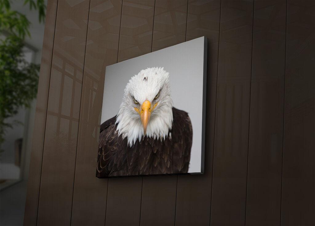 Wallity Слика 221JRS1376, 46x72 cm