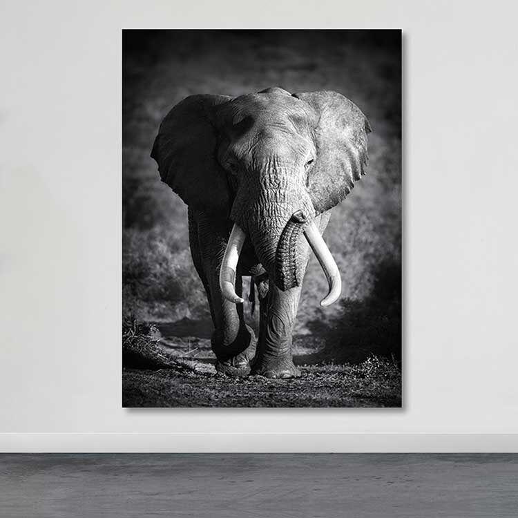 Wallity Слика Kanvas Tablo-99, 70x100 cm