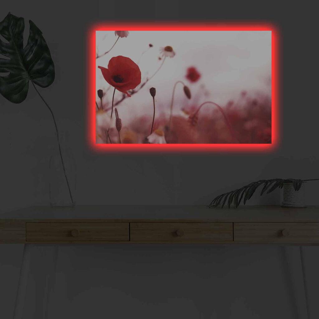 Wallity Слика BOYA-59, 45x45 cm