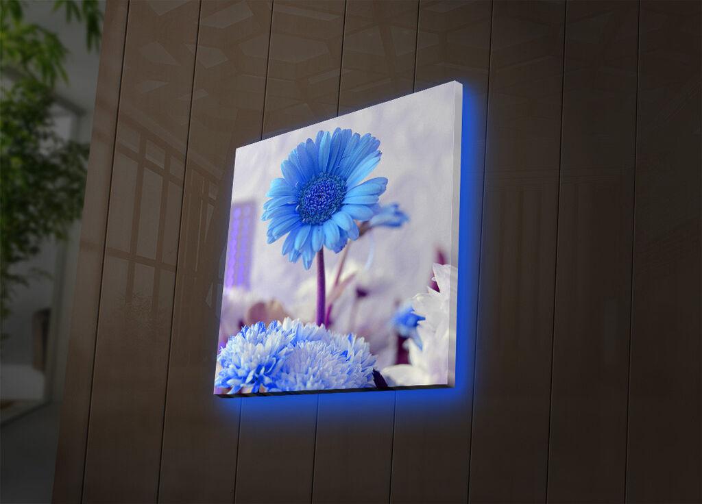 Wallity Слика 221JRS1340, 46x72 cm