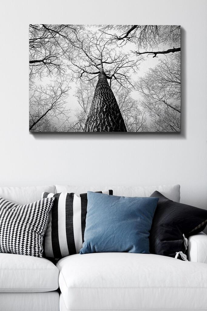 Wallity Сет Слики MDF156244829, 3 Дела