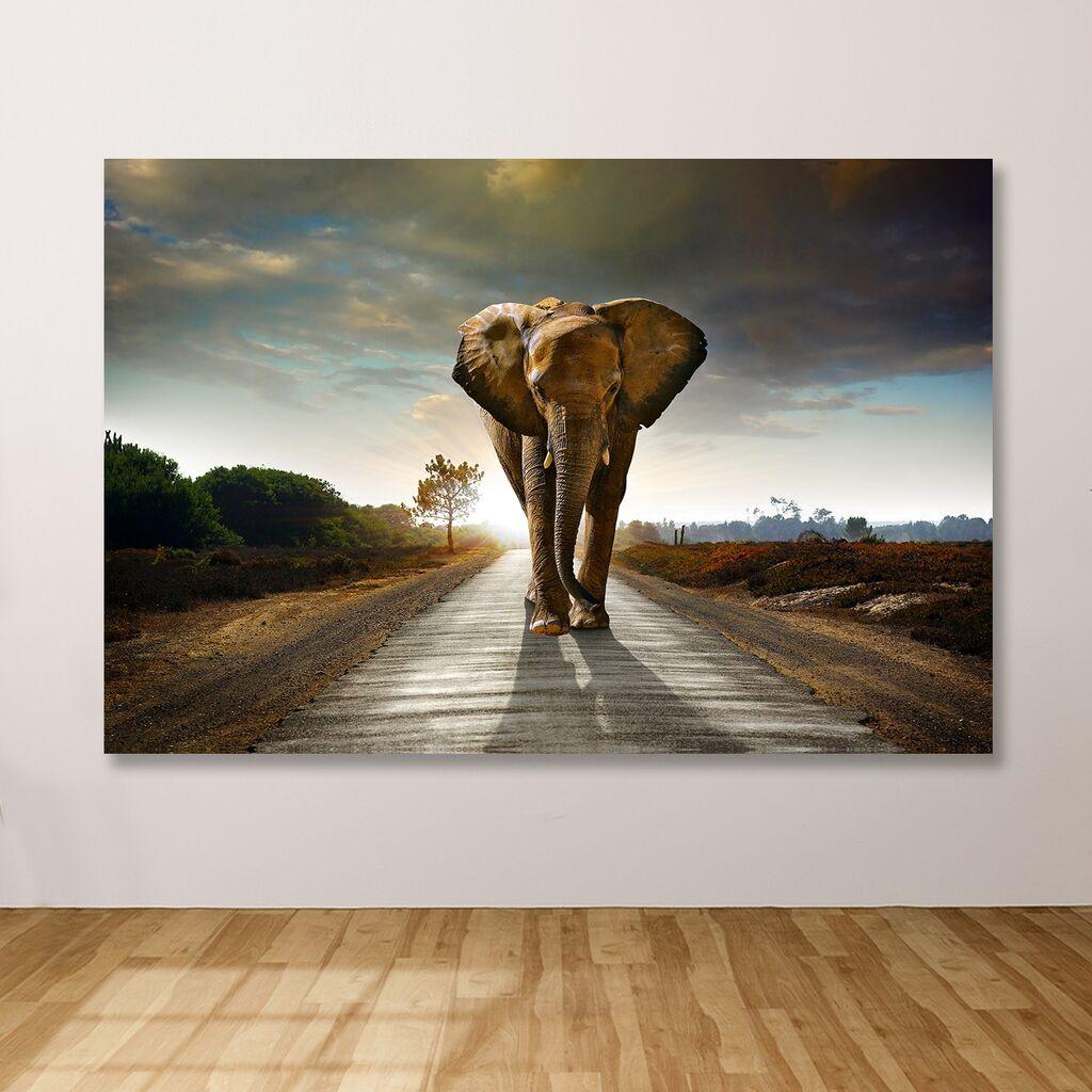 Wallity Сет Слики MDF3362477, 3 Дела