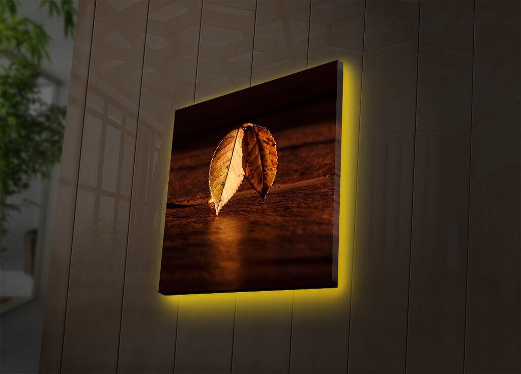 Wallity Слика 221JRS1344, 60x90 cm