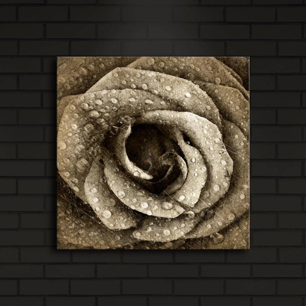 Wallity Слика 529TCR2192, 50x70 cm