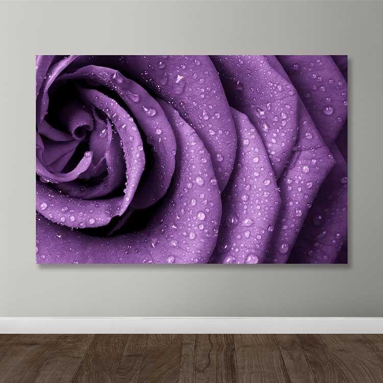 Wallity Слика KNV10252, 70x100 cm