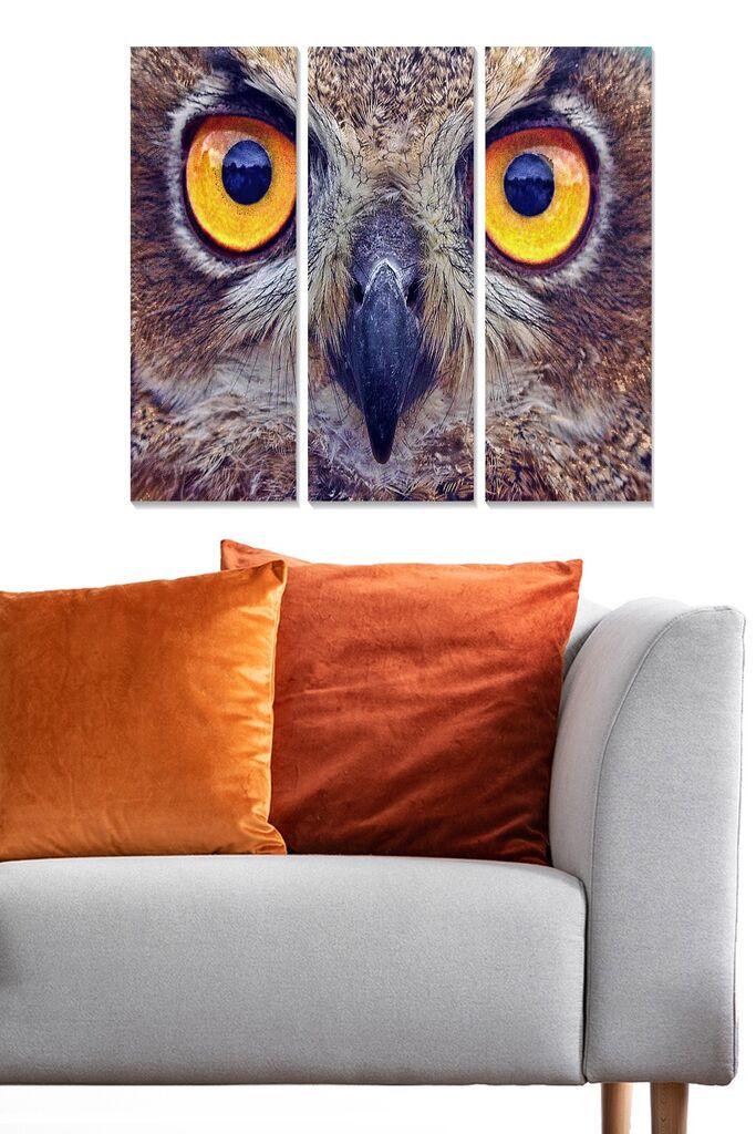 Wallity Сет Слики MDF84462340, 3 Дела