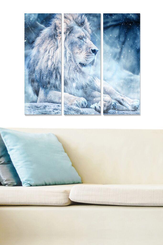 Wallity Сет Слики MDF772039339, 3 Дела