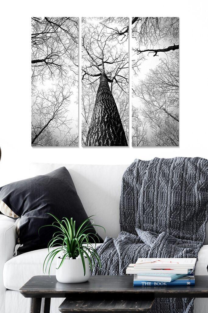 Wallity Сет Слики MDF8530903, 3 Дела