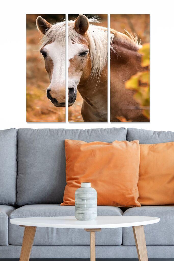 Wallity Слика WY296, 70x100 cm