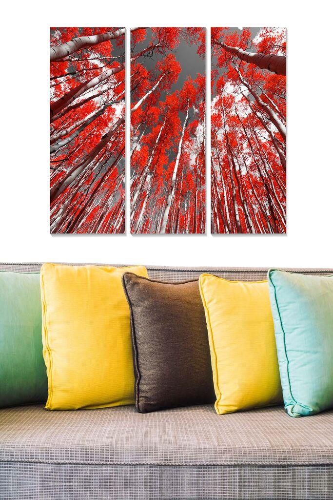 Wallity Сет Слики MDF6603389, 3 Дела