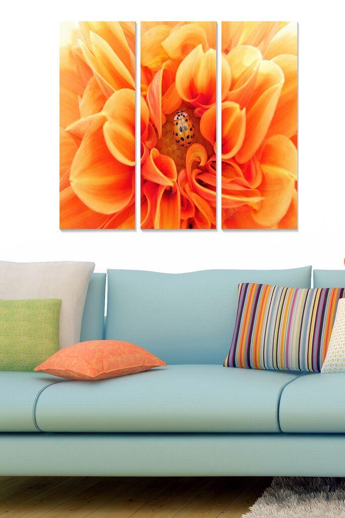 Wallity Сет Врамени MDF Слика Myk3008-1, 3 Дела