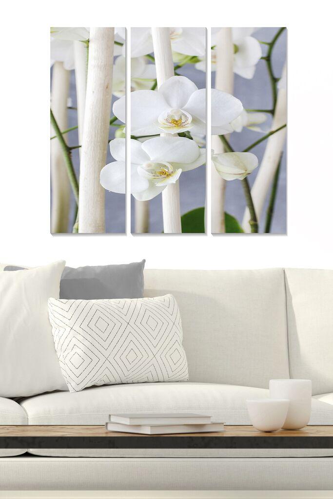 Wallity Слика со LED Осветлување NASA-045, 45x70 cm