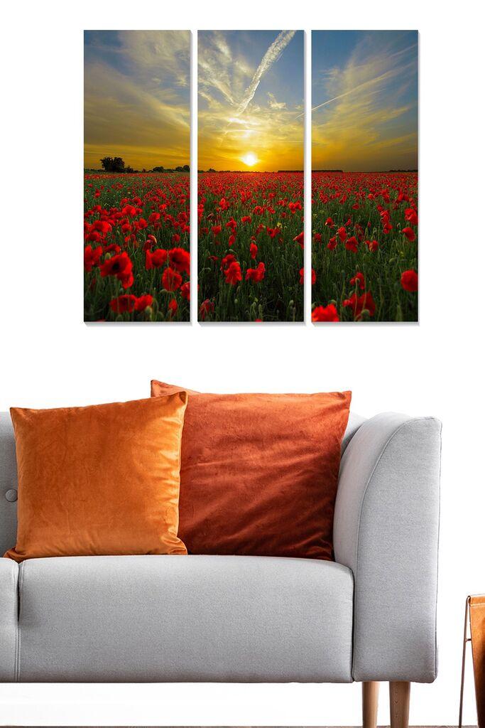 Wallity Сет Слики MDF815270, 3 Дела