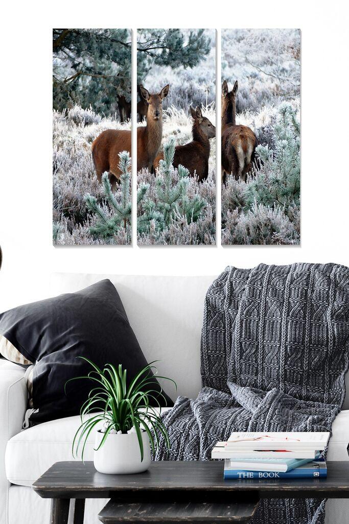 Wallity Сет Слики MDF7050884, 3 Дела