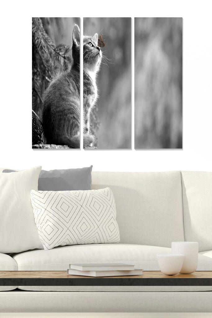 Wallity Сет Врамени MDF Слика Myk3009-2, 3 Дела