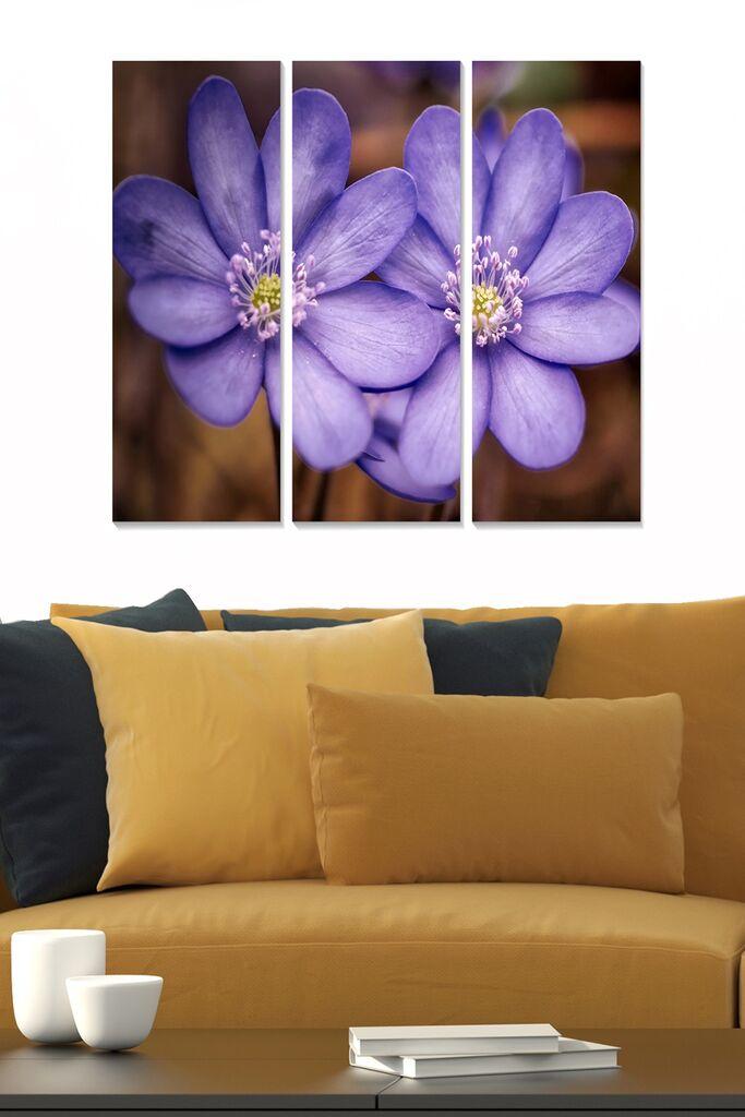 Wallity Слика WY297, 50x70 cm