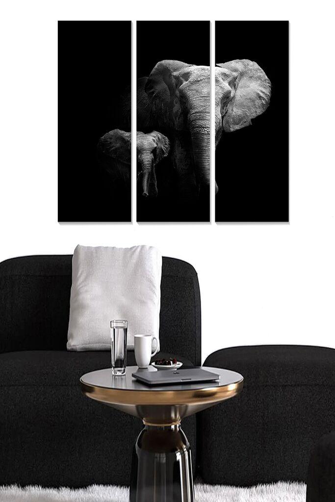 Wallity Сет Слики MDF6508147, 3 Дела