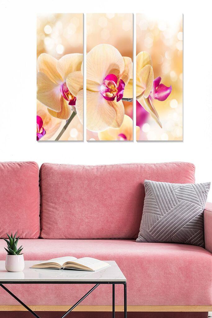 Wallity Слика YTY554296519_50120, 50x120 cm