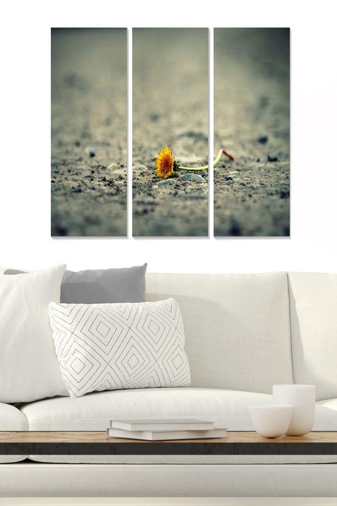 Wallity Сет Слики MDF6762308, 3 Дела