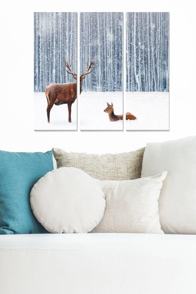 Wallity Сет Слики MDF460560355, 3 Дела